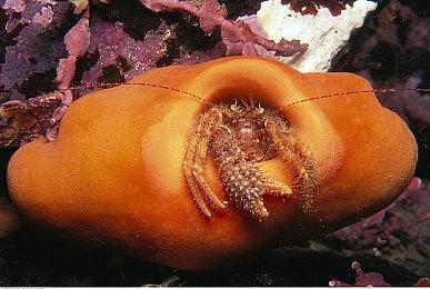 《异度神剑3》通过ESRB评级 拥有暴露的装备和角色