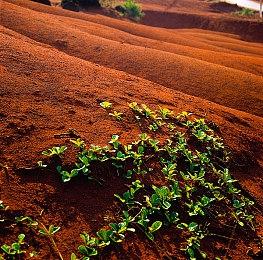 新DC宇宙已有数部游戏开发中 首部推出还需数年