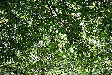 《羊蹄山之魂》欧洲销量和前作《对马岛之鬼》差不多